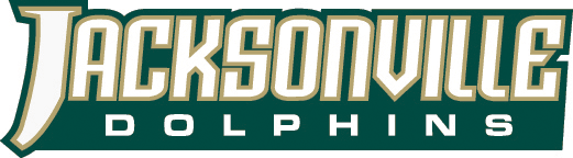 Jacksonville Dolphins 2008-Pres Wordmark Logo DIY iron on transfer (heat transfer)